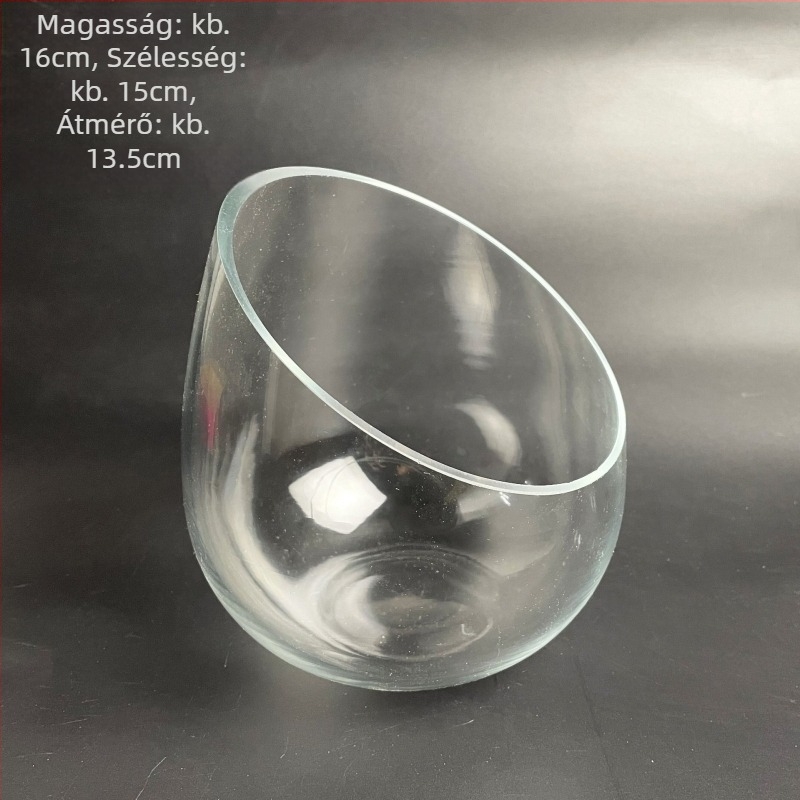 Üvegből készült mohás mikro-táj öko üvegpalack aranyhalas akváriummal — környílású dizájn, szukkulensek; Márka: Small Space Big World; Csomagolás: karton; Kijelzés: felületen