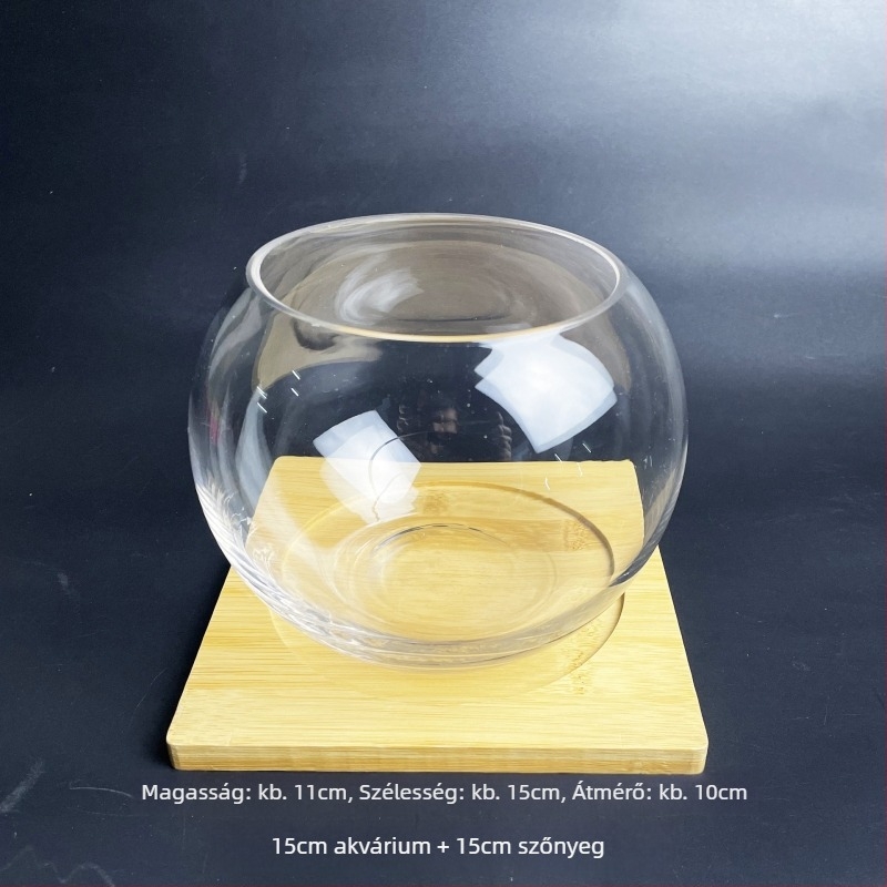 Üvegből készült mohás mikro-táj öko üvegpalack aranyhalas akváriummal — környílású dizájn, szukkulensek; Márka: Small Space Big World; Csomagolás: karton; Kijelzés: felületen