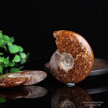 Kristálykő – fosszilis ammonit tengeri kagyló, természetes gyártás, Runguan Jewelry, Kategória: Kristálykő, Csomagolás: PP zacskó, Anyag: Kristály
