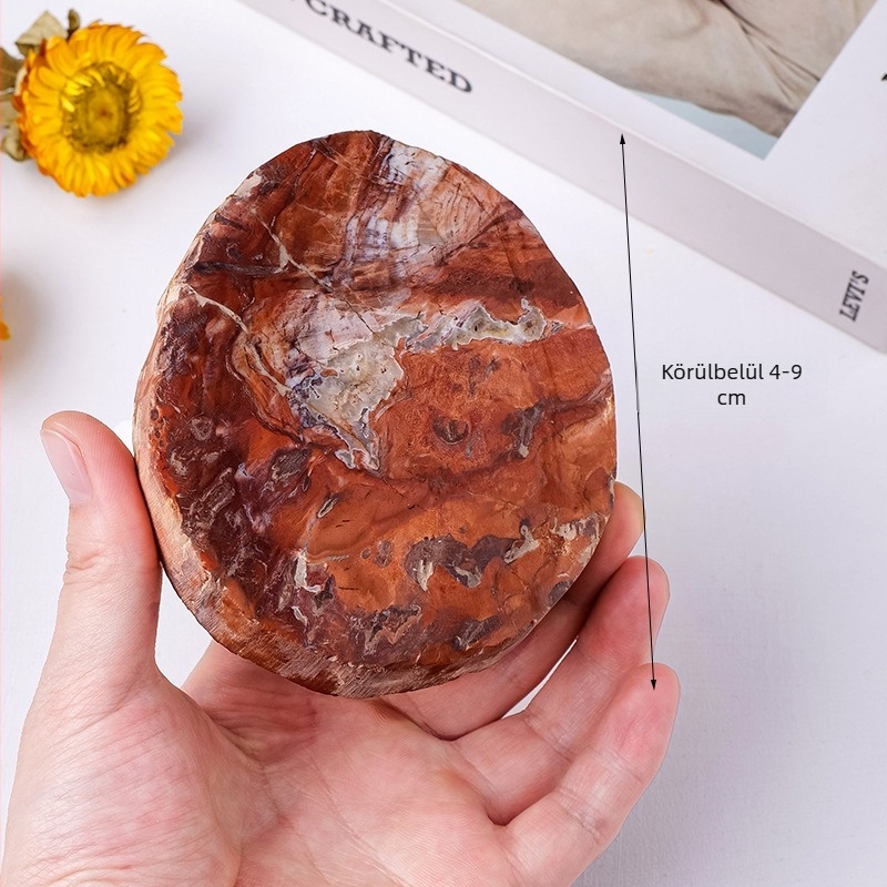Természetes fosszilis fa szeletek, Madagaszkári fosszilis fa szeletek, tájkő, teáscsésze alátét, otthoni dekoráció