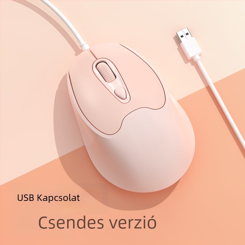 Optikai USB-C vezetékes egér, 2400dpi, 4 gomb
