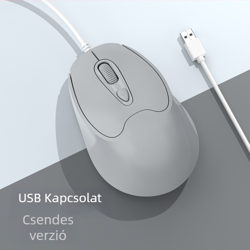 Optikai USB-C vezetékes egér, 2400dpi, 4 gomb