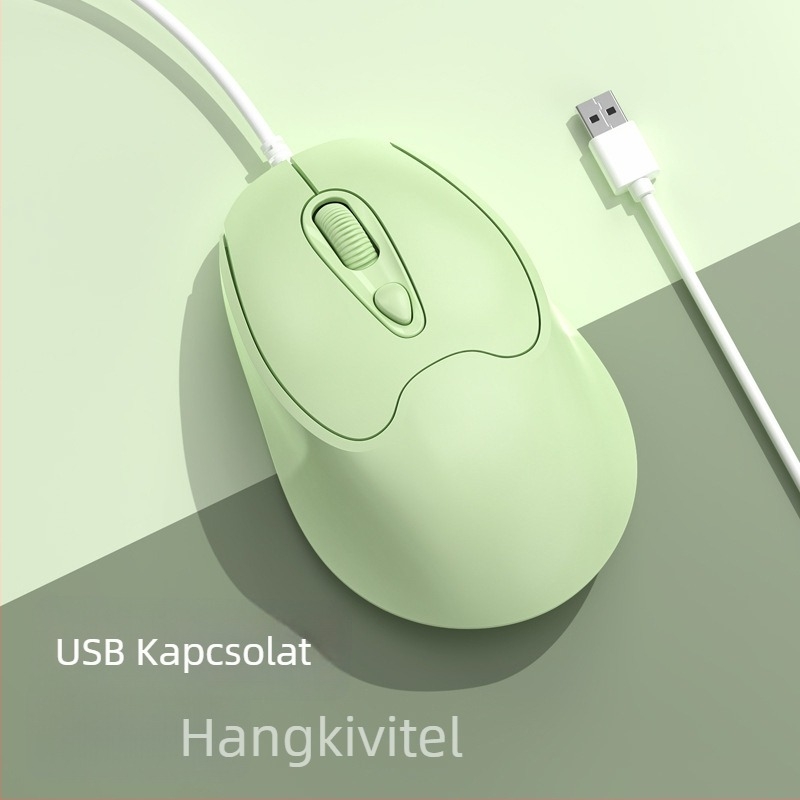 Optikai USB-C vezetékes egér, 2400dpi, 4 gomb