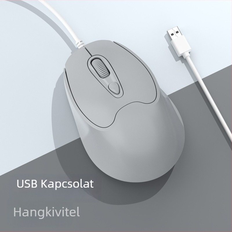 Optikai USB-C vezetékes egér, 2400dpi, 4 gomb