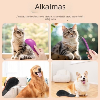 Kutyáknak szánt masszírozó fésű – ABS anyagból, Bichon Frise számára, kilógó szőr eltávolítása