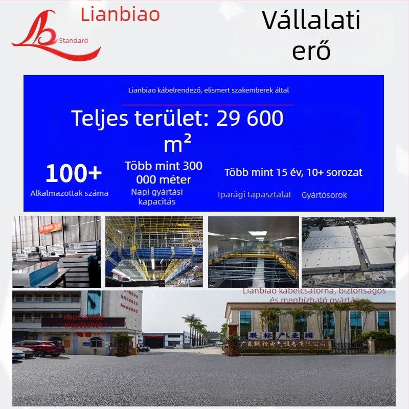 Galvanizált kábelcsatorna híd típus, vezetékekhez - létra- és akna típus, fedőlemezzel - testreszabás elérhető - magánmárka