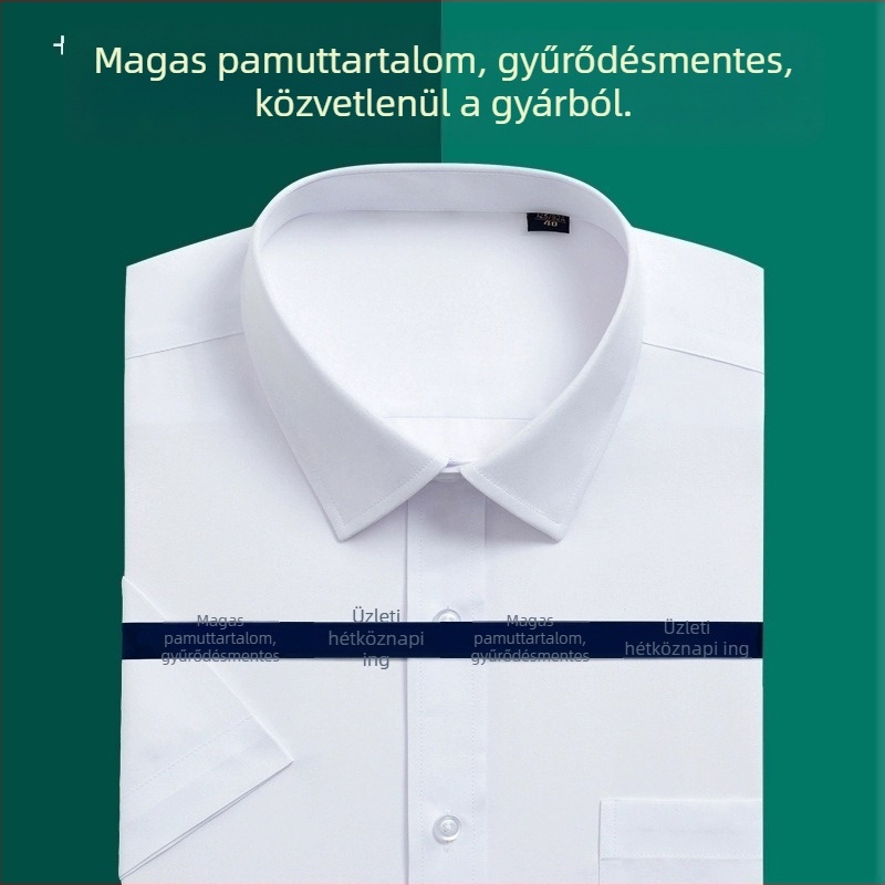 Férfi hosszú ujjú ing, gallér rever, pamut, vasalás nélkül