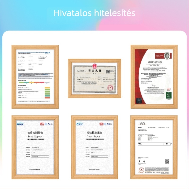Asztaliteniszütő Gale – nyárfa alap, Anti-Glue gumi, oldalsó ütés