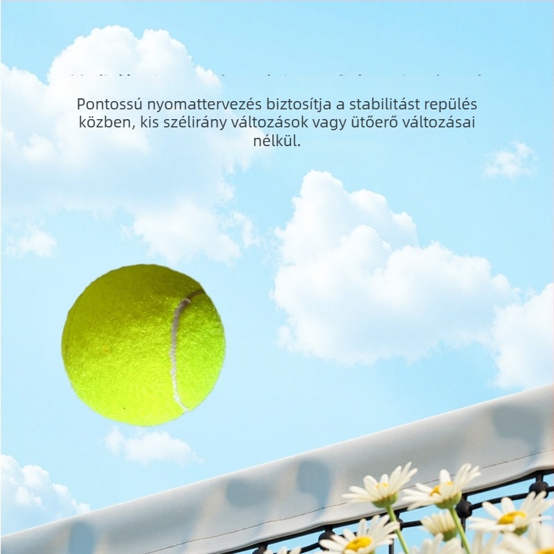 Fu'an teniszlabda, gumi, logó nyomtatás, testreszabható