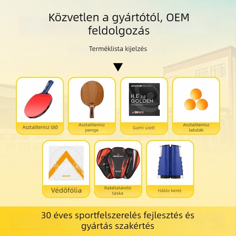 Asztaliteniszütő keményhéjú táska, por- és vízálló, PU anyag, ütésvédelmi védelem