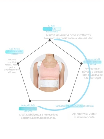 JINGBA hát-támaszortózis, állítható lélegző öv, nylon test, méretek M-2XL, felnőtteknek, alkalmas futásra, kerékpározásra és edzésre.