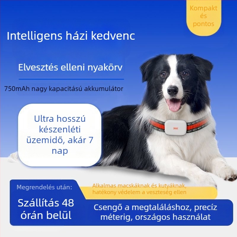 Beidou GPS háziállat-nyomkövető macskáknak és kutyáknak, vízálló, távoli nyomkövetés
