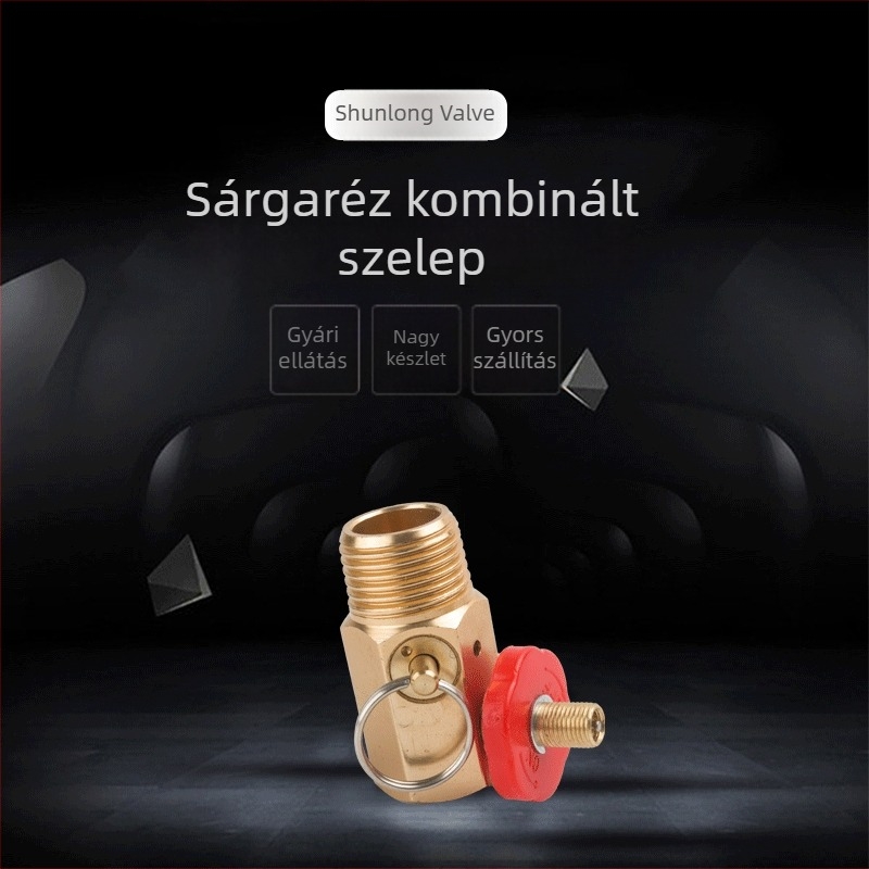 Hordozható réz kombinált szelep alumínium fogantyúval, 1/2×1/4 NPT, tartalmaz levegőpumpát, nyomásmérőt és tömlő készletet