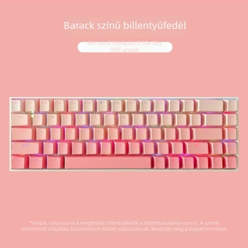 Testreszabott ABS billentyűkapszli készlet 133 billentyűhöz, gradiens gravírozással, két színű injekciós formázás