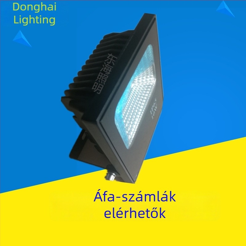 Kültéri LED fényvető beépített házzal és rögzítő klipekkel – 10W/20W, öntött alumínium ház, felületkezelés spray fújással