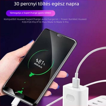 Type-C adat- és töltőkábel — gyors töltés, egyfejű csatlakozó, nem testreszabható