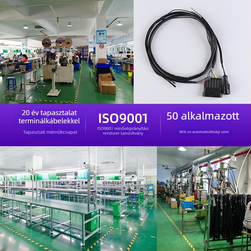 Autóipari kábelköteg kamerákhoz, 2-14 vezető, ónnal bevont réz, PVC hüvely, 220V, testreszabható