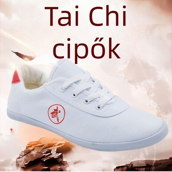 Double Star harcművészeti cipő, vászon felsőrész, gumitalp, légáteresztő, könnyű, csúszásmentes beltéri edzéshez