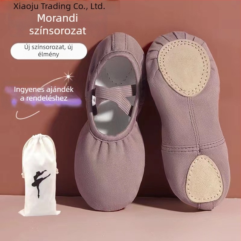 Szakmai balettcipők gyerekeknek és lányoknak, macska tappancs formájú cipők, Morandi ihletésű, puha talpú edzőcipők