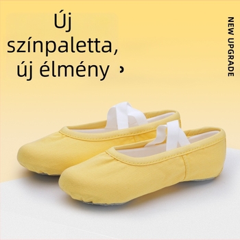 Felnőtt uniszex tánccipő, puha talp, légáteresztő, csúszásmentes, kopásálló, etnikai tánc stílusú