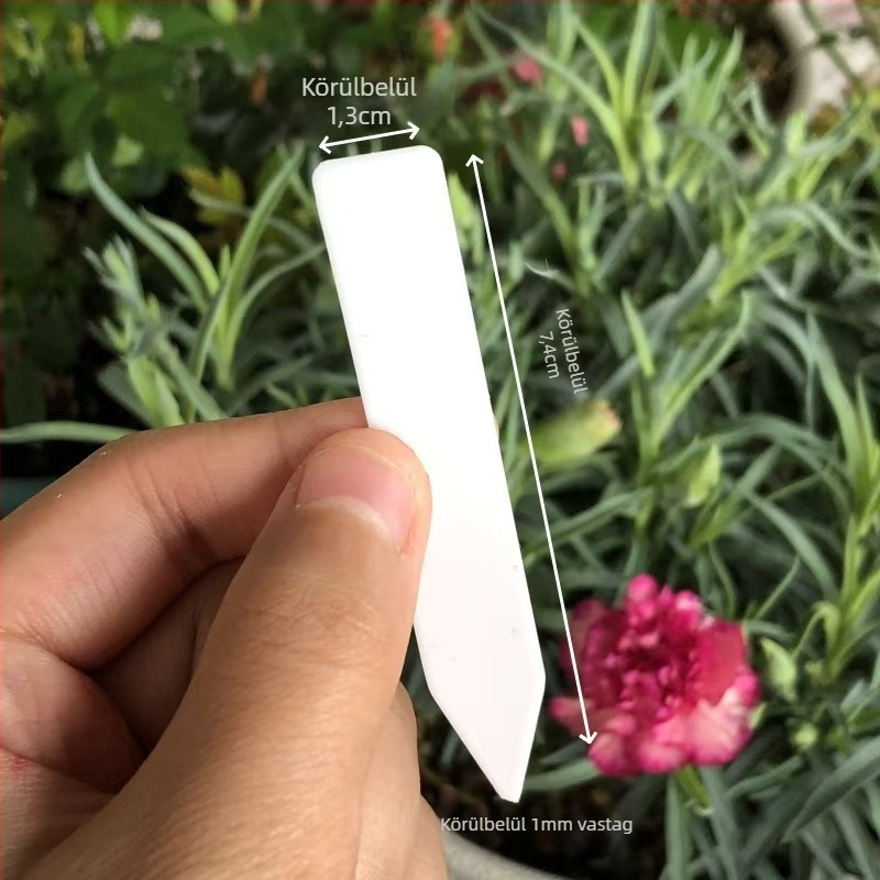 Szukkulensek címke – műanyag jelölőcímke, T-típus, 1-típus, Kód: Jeye5gfz