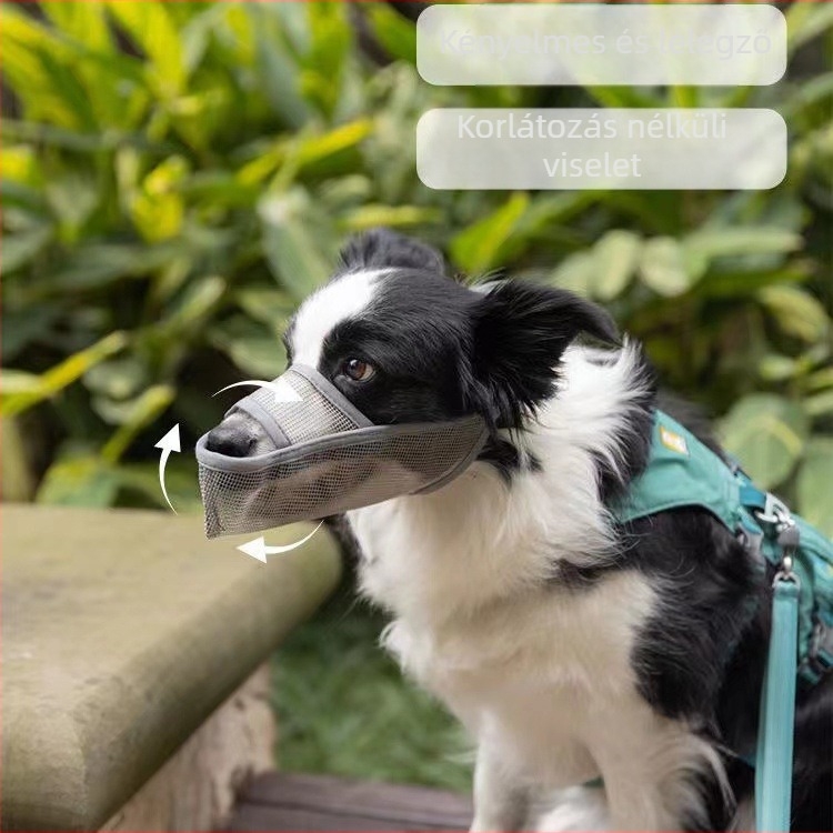 Nylon kutyaszájkosár, 280 darabos doboz, importálás nélküli