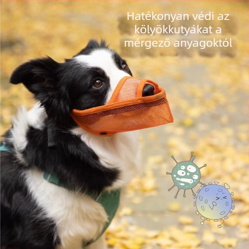 Nylon kutyaszájkosár, 280 darabos doboz, importálás nélküli