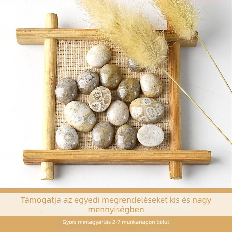 Természetes chrysanthemum kő ovális medálos nyaklánc, polírozott kőbeültetéssel, félkész ékszer
