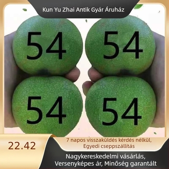Vad dióból készült karkötő zöld héjjal, extralarge méret, qilin mintázat, oroszlán és tigris fej motívumok