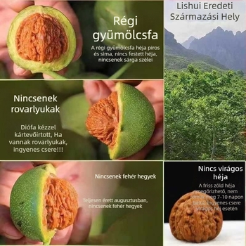 Vad dióból készült karkötő zöld héjjal, extralarge méret, qilin mintázat, oroszlán és tigris fej motívumok