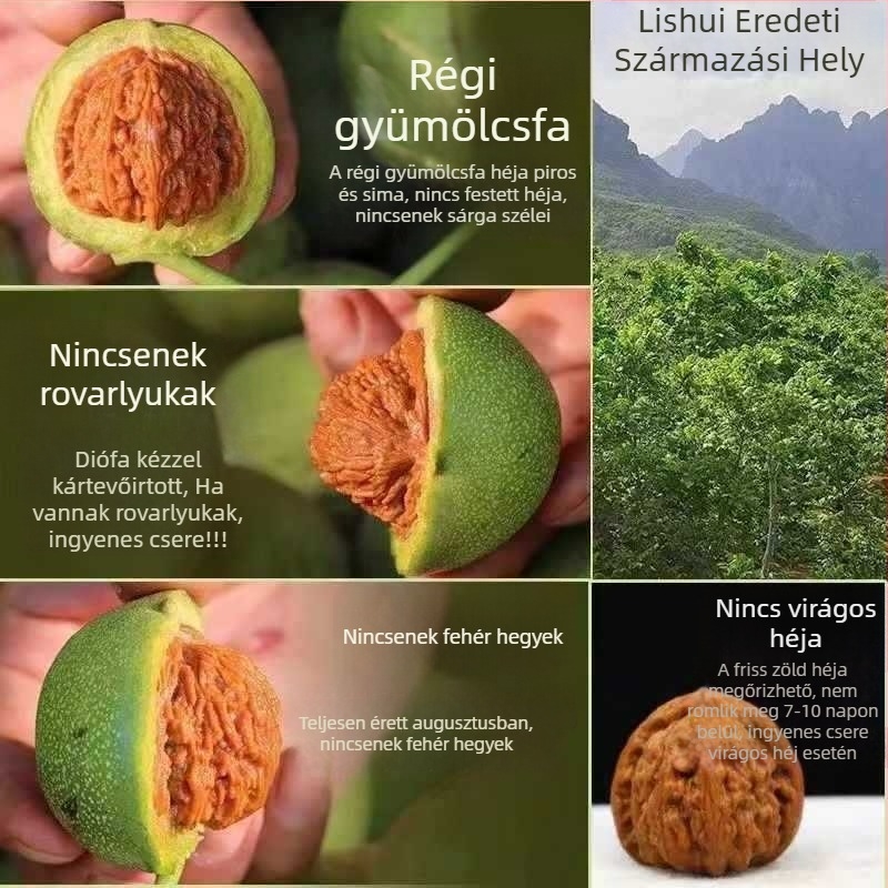 Vad dióból készült karkötő zöld héjjal, extralarge méret, qilin mintázat, oroszlán és tigris fej motívumok