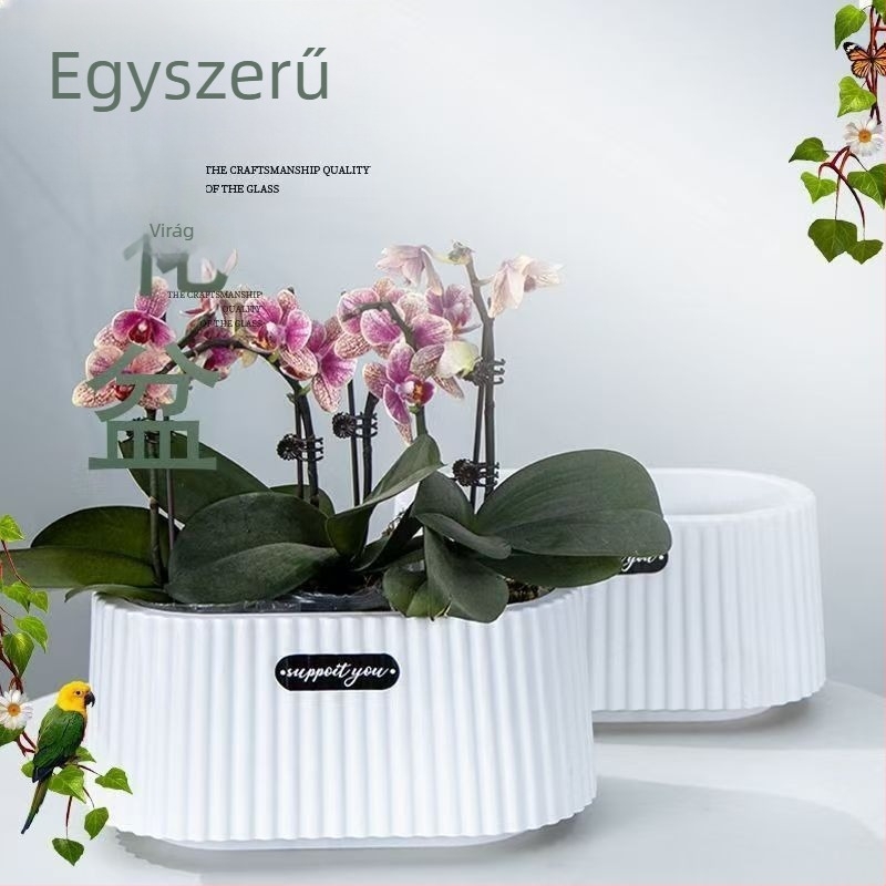 Minimalista utánzat kerámia virágtartó Phalaenopsis orchideákhoz – nappali dekoráció