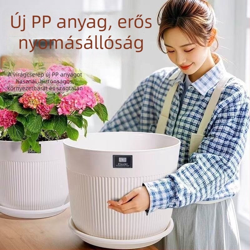 Vastagított műanyag virágcserép, extránagy méret, nagy átmérővel, Bird of Paradise, gyümölcsfák és áfonya számára