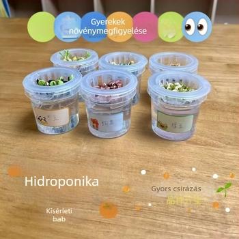 Hidroponikus bab vetőmag készlet glazírozott porcelánedényben otthoni kertészkedéshez, padlón álló edény, korrózióálló