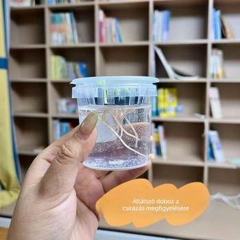 Hidroponikus bab vetőmag készlet glazírozott porcelánedényben otthoni kertészkedéshez, padlón álló edény, korrózióálló