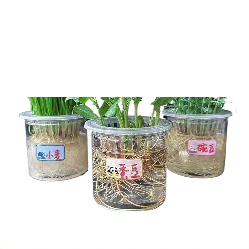 Hidroponikus bab vetőmag készlet glazírozott porcelánedényben otthoni kertészkedéshez, padlón álló edény, korrózióálló