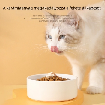 Kerámia etető tál macskáknak — Pipitao, automata etetés készlet, licencelt magáncímkével