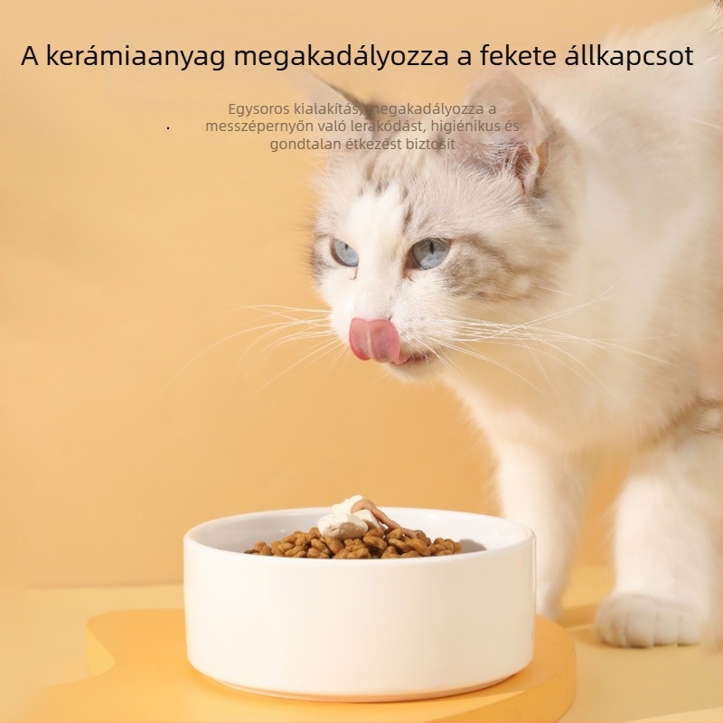 Kerámia etető tál macskáknak — Pipitao, automata etetés készlet, licencelt magáncímkével