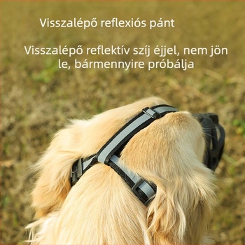 Kutyamuzzle, ABS műanyag, megelőzi a harapást, ugatást és rágást