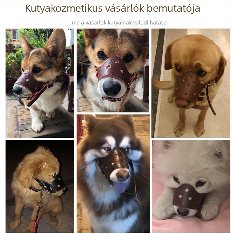 Bőr kutya-muzzel – harapás elleni, ugatás elleni