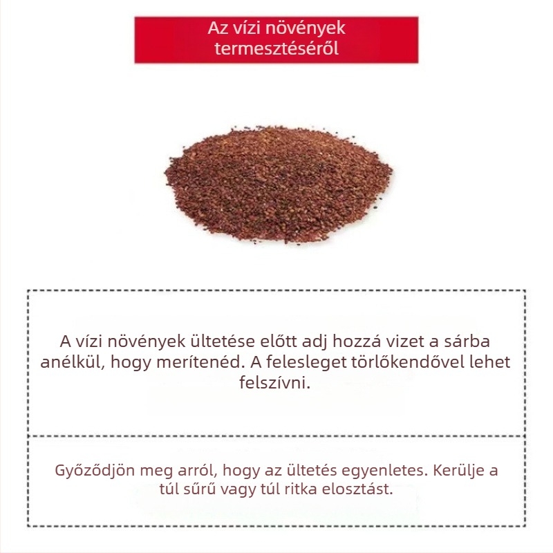 Hidropónikus ökológiai üvegből készült asztali dekoráció – vízi növényekkel és vetőmagokkal kiegészített mikro táj