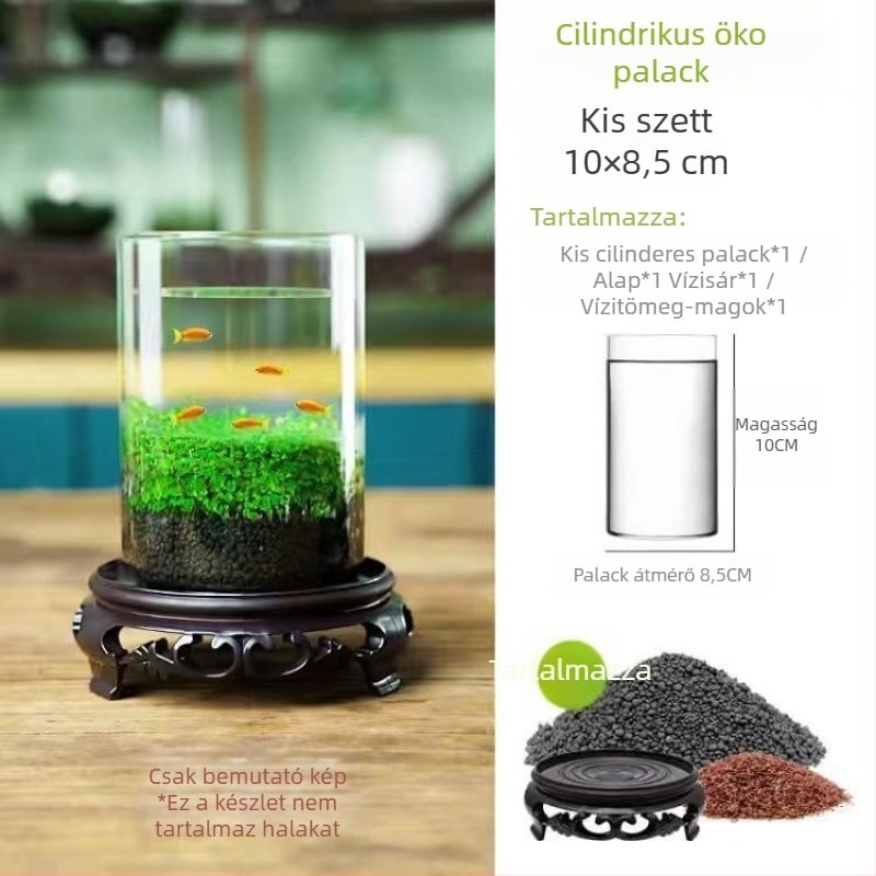 Hidropónikus ökológiai üvegből készült asztali dekoráció – vízi növényekkel és vetőmagokkal kiegészített mikro táj