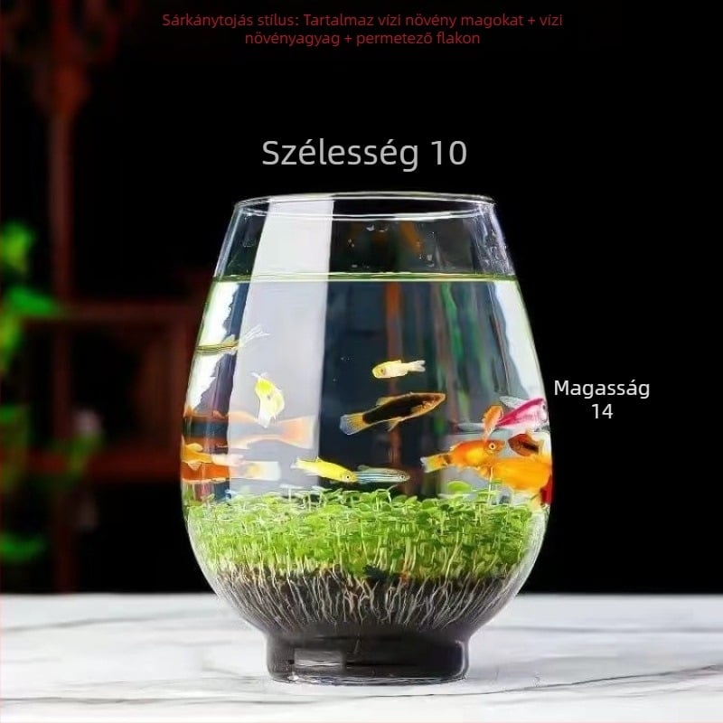 Hidropónikus ökológiai üvegből készült asztali dekoráció – vízi növényekkel és vetőmagokkal kiegészített mikro táj