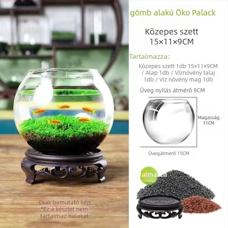 Hidropónikus ökológiai üvegből készült asztali dekoráció – vízi növényekkel és vetőmagokkal kiegészített mikro táj