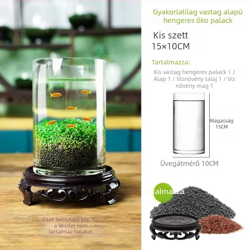 Hidropónikus ökológiai üvegből készült asztali dekoráció – vízi növényekkel és vetőmagokkal kiegészített mikro táj