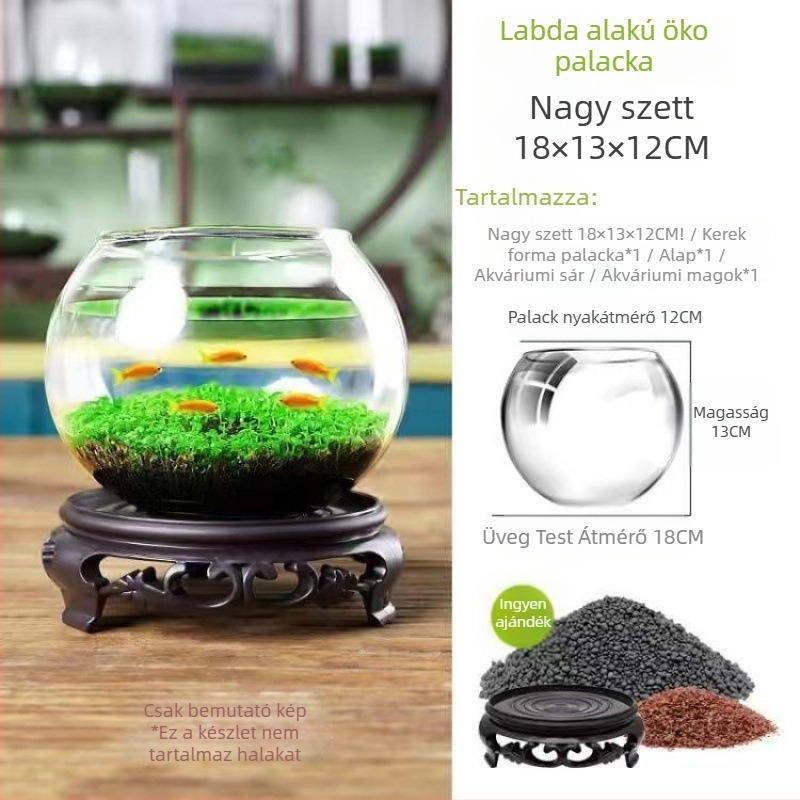 Hidropónikus ökológiai üvegből készült asztali dekoráció – vízi növényekkel és vetőmagokkal kiegészített mikro táj