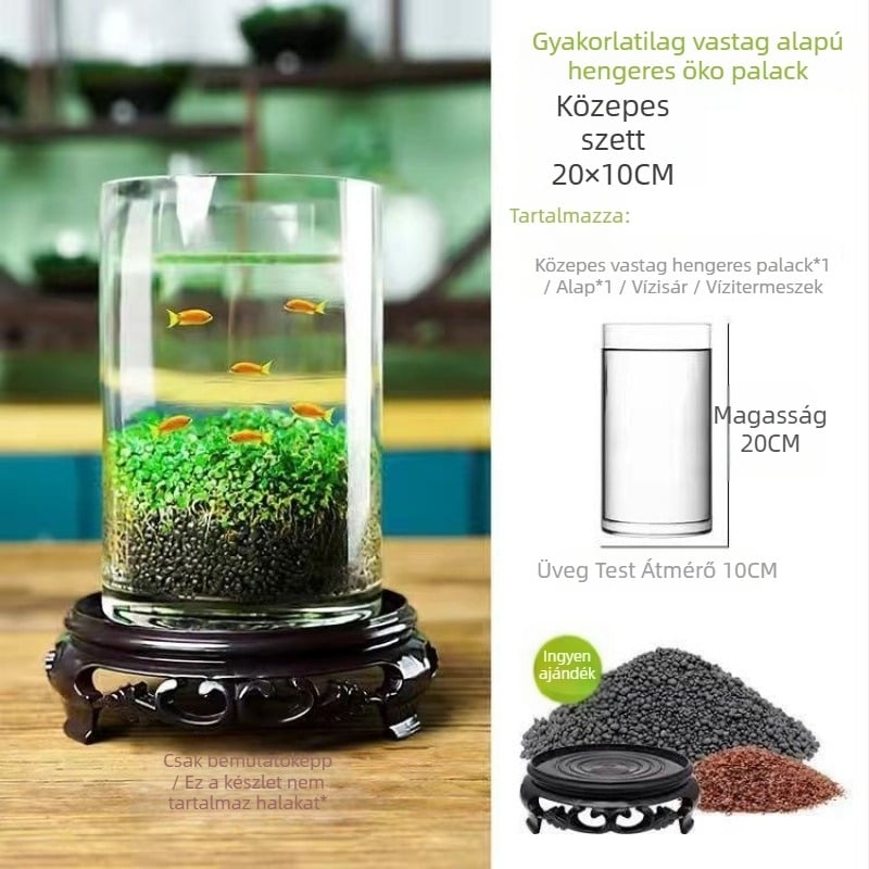 Hidropónikus ökológiai üvegből készült asztali dekoráció – vízi növényekkel és vetőmagokkal kiegészített mikro táj