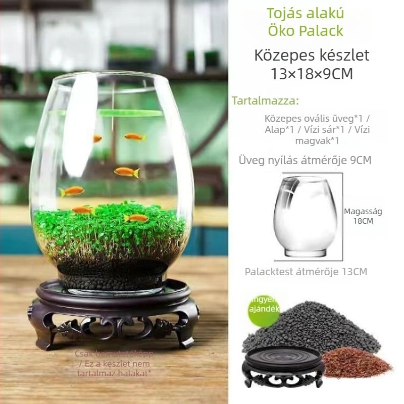 Hidropónikus ökológiai üvegből készült asztali dekoráció – vízi növényekkel és vetőmagokkal kiegészített mikro táj