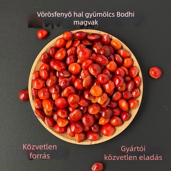 Bodhi gyöngy karkötő, kézzel kötött, totem mintázat, vintage stílus