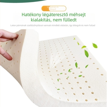 Latex ülőpárna irodai üléshez – egyszerű, modern stílus, egyszínű minta; Hao Xiang márka; alkalmas egyszemélyes kanapéhoz